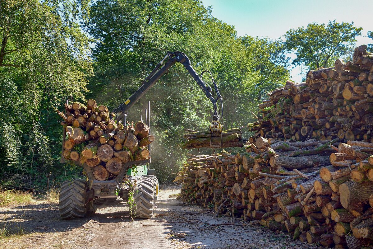 Mežizstrādes pakalpojumi