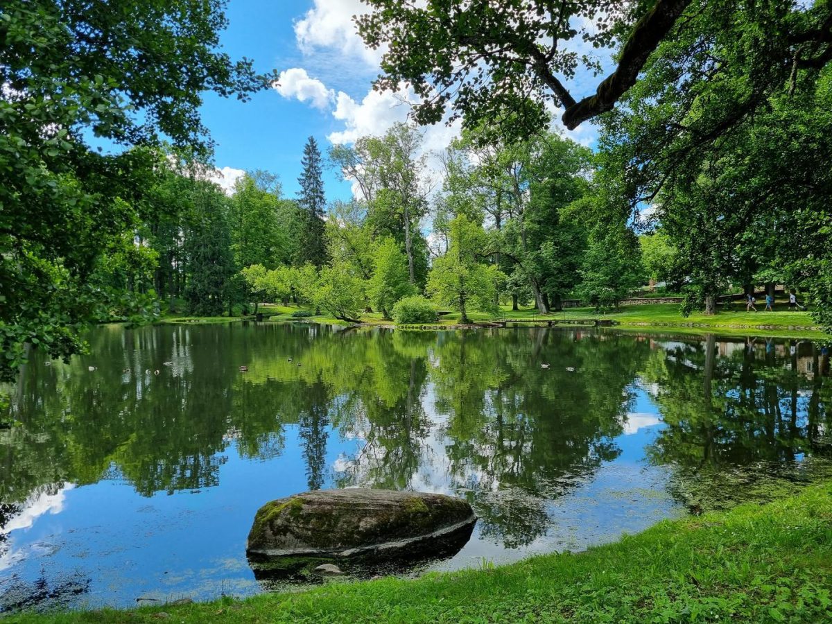 individuālie ceļojumi