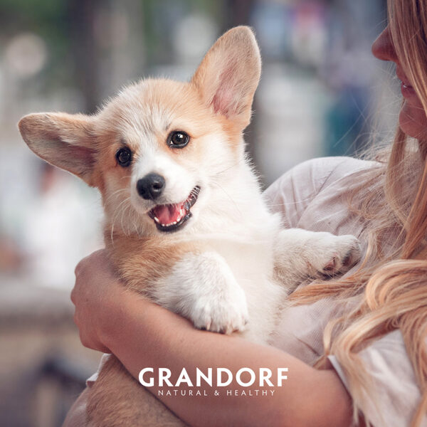 grandorf.lv