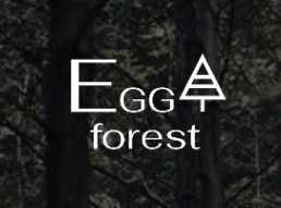 EGGA FOREST, SIA