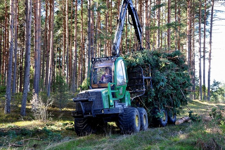 Apaļkoku transportēšana