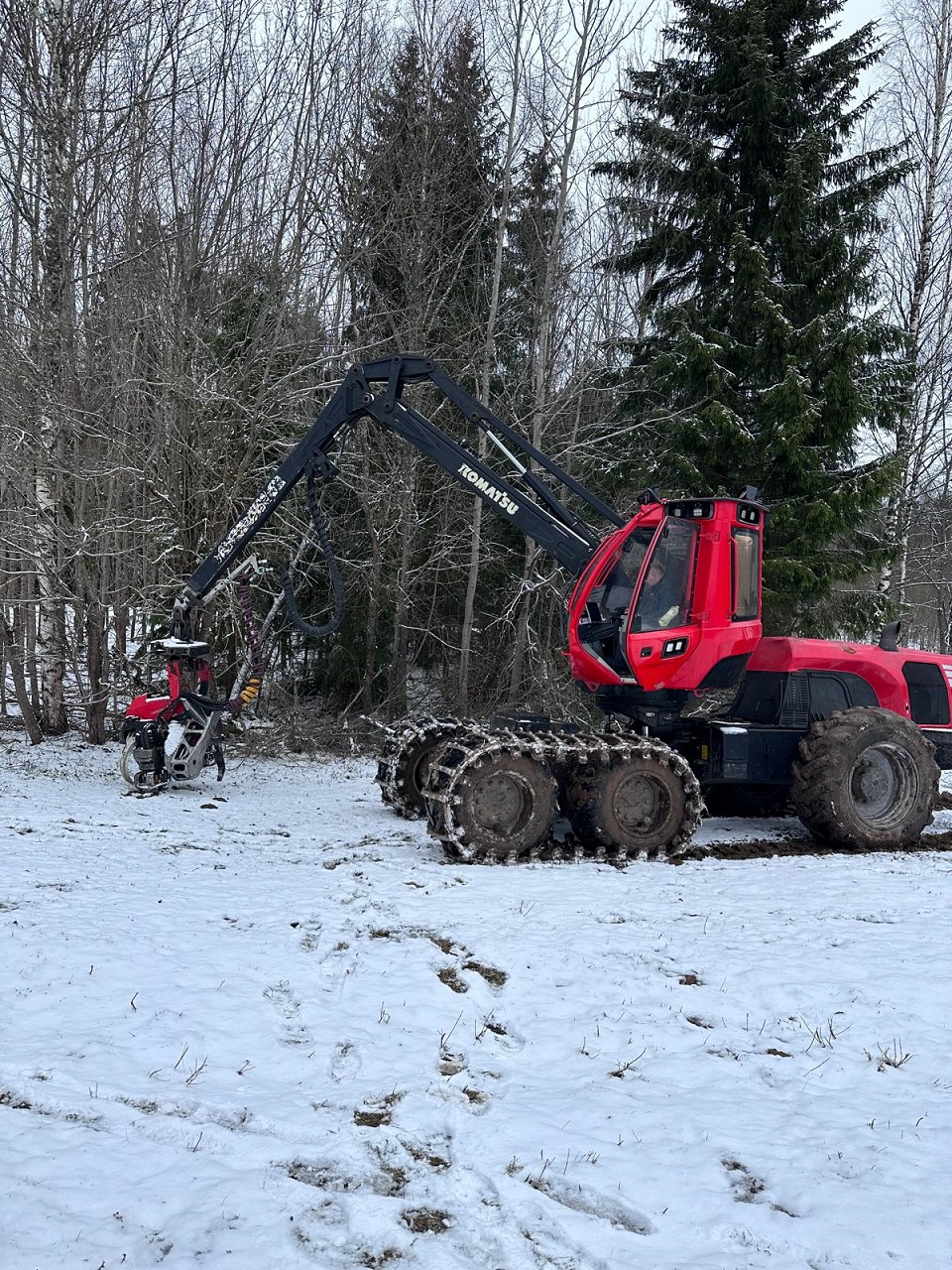 Cirsmu zāģēšana ar harvesteru