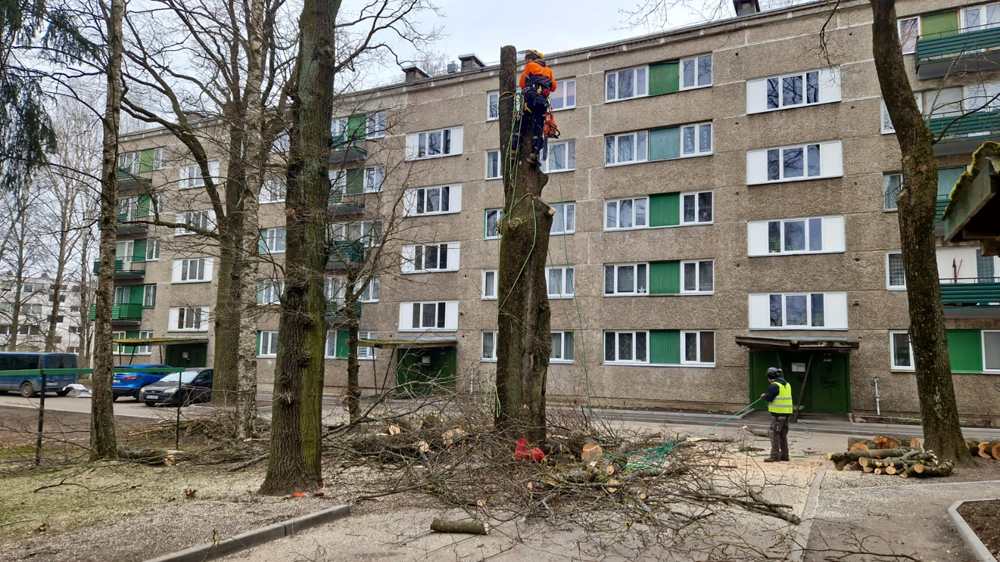 teritorijas apsaimniekošana